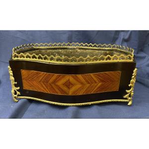 Napoleon III Planter